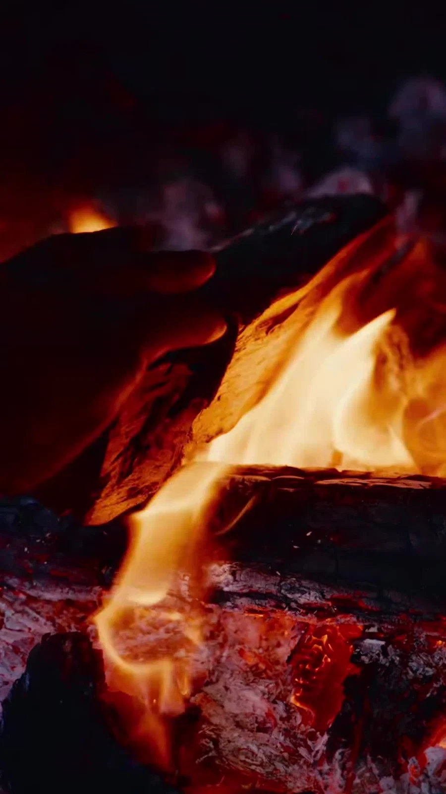 Fuego real del asadero